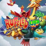 Ruffled Up screenshot